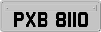 PXB8110