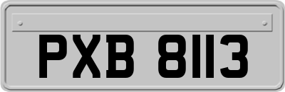 PXB8113