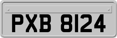 PXB8124