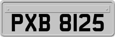 PXB8125