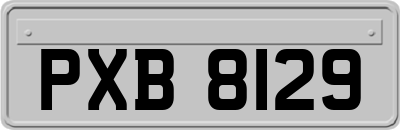 PXB8129