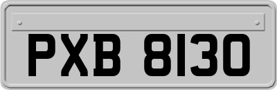 PXB8130