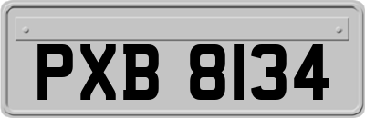 PXB8134