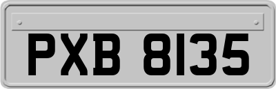 PXB8135