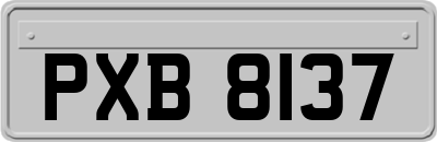 PXB8137