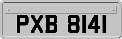 PXB8141