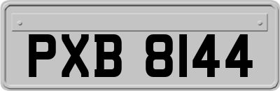 PXB8144