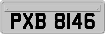 PXB8146