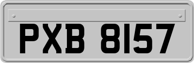 PXB8157