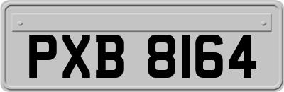 PXB8164