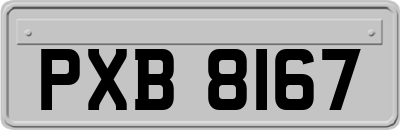 PXB8167