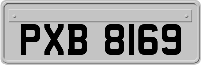 PXB8169