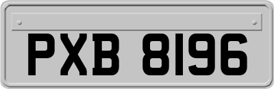 PXB8196