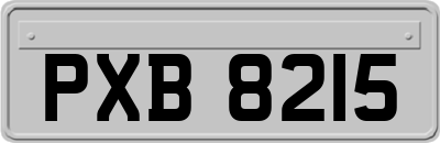 PXB8215