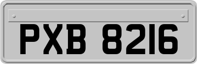 PXB8216