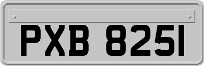 PXB8251