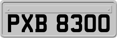 PXB8300