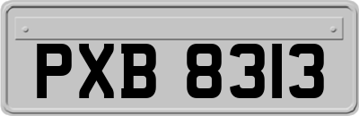 PXB8313