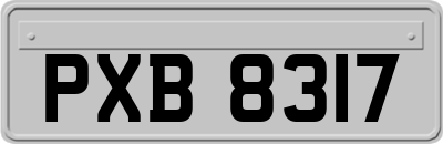 PXB8317