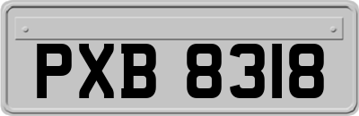 PXB8318