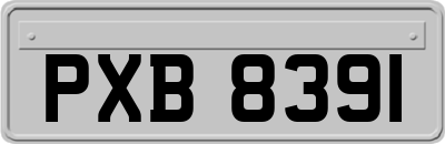 PXB8391