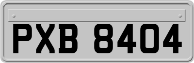 PXB8404