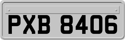 PXB8406