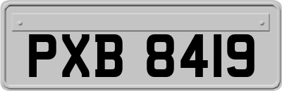 PXB8419