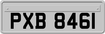 PXB8461