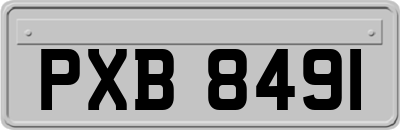 PXB8491