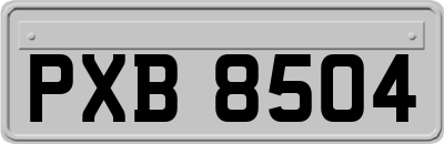 PXB8504