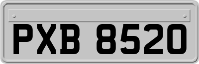 PXB8520