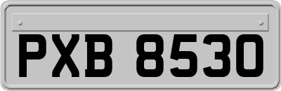 PXB8530