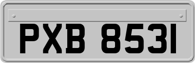 PXB8531