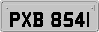 PXB8541