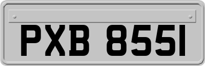 PXB8551