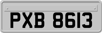 PXB8613