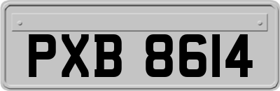 PXB8614