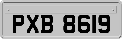 PXB8619