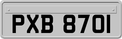 PXB8701