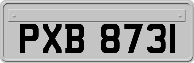 PXB8731