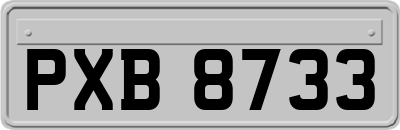 PXB8733