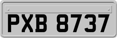 PXB8737