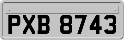 PXB8743