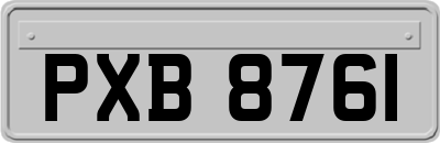 PXB8761