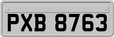 PXB8763