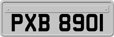 PXB8901