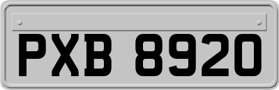 PXB8920