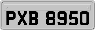 PXB8950