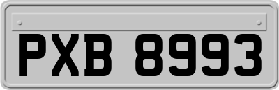 PXB8993